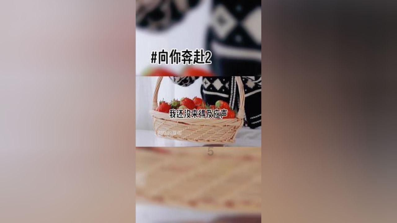 公主的华丽晚宴
