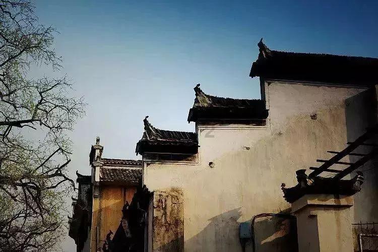 精灵格蕾